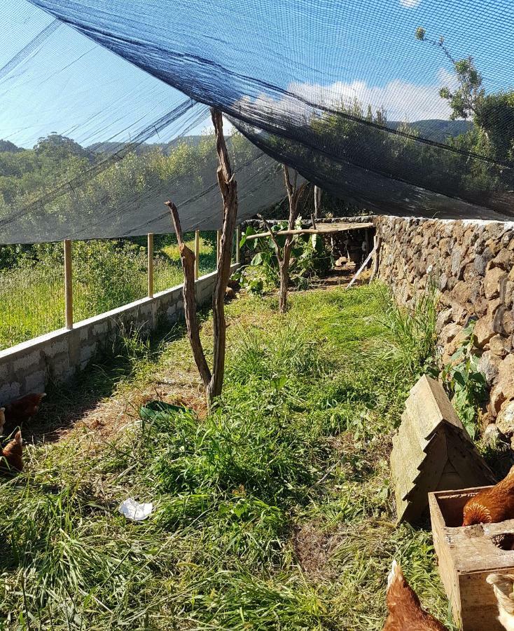 Quinta Rico *